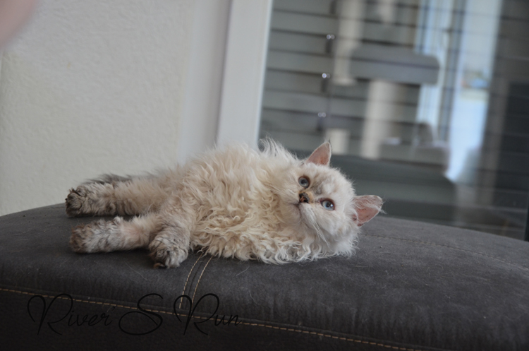 Victoria 24.04 (3).jpg